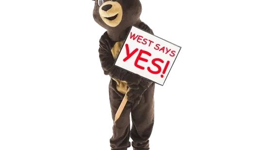 About us - bear